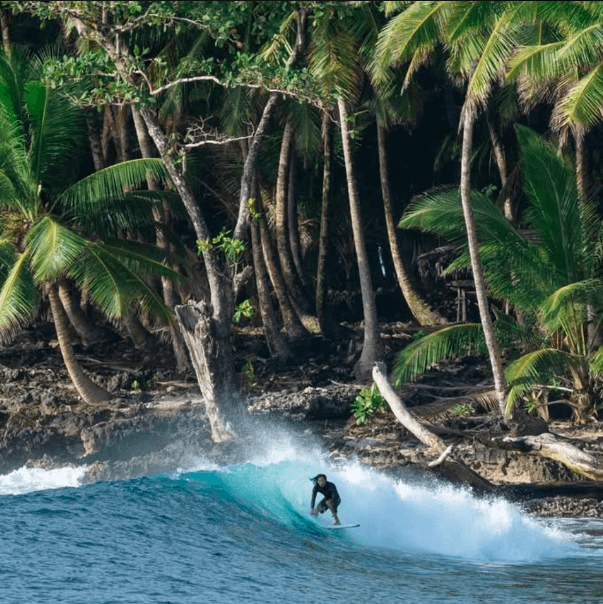 Surf trip to Mentawai